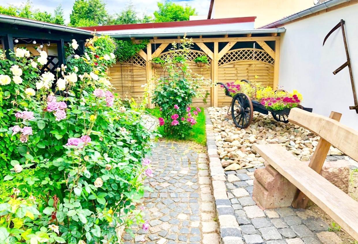 Ferienwohnungen Grimma 4 Ngoại thất bức ảnh